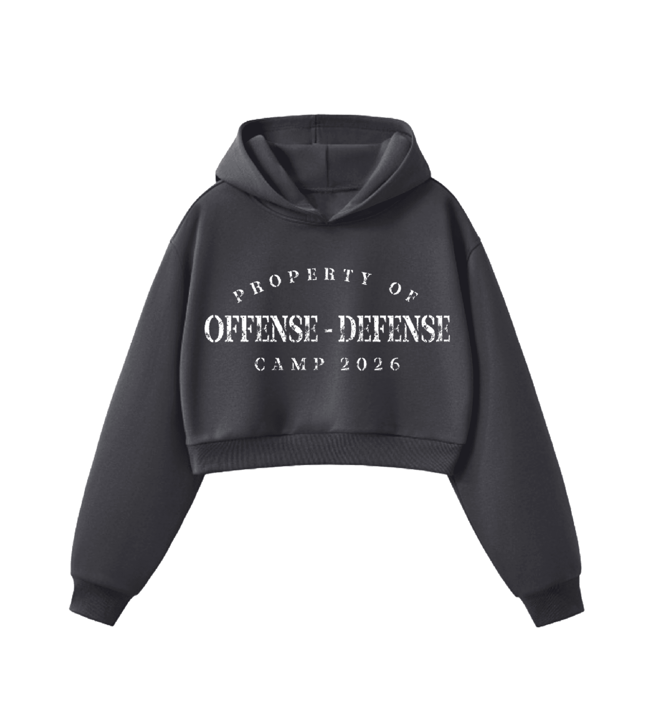 Camp Crop Hoodie